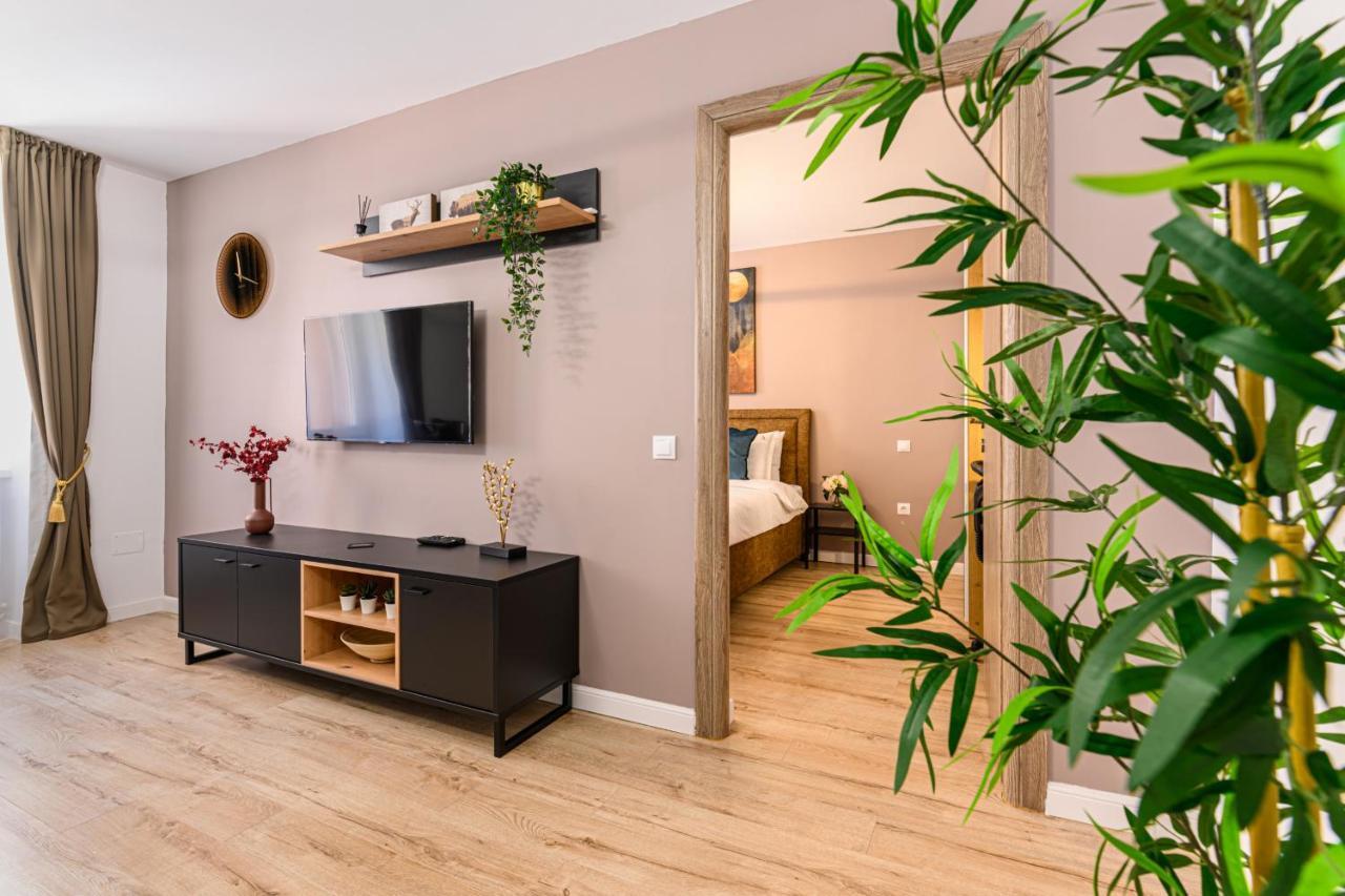 Schei Gate Apartment Braşov Extérieur photo