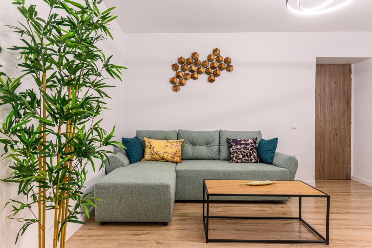 Schei Gate Apartment Braşov Extérieur photo