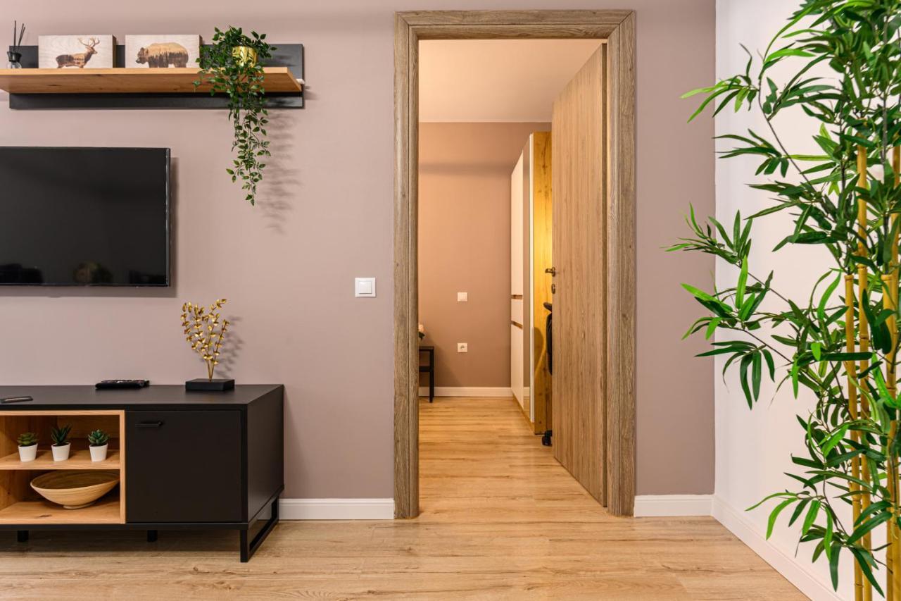Schei Gate Apartment Braşov Extérieur photo